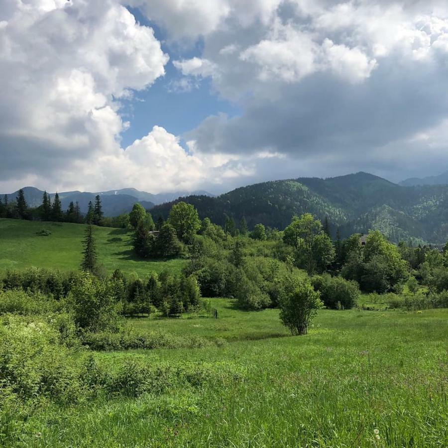 Apartament Wierchy Zakopane Esterno foto